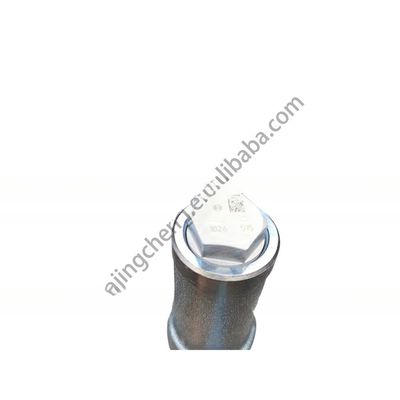 Standaardgroottes Dongfeng Kinland Truck Diesel motor brandstof Common Rail Pipe D5010224030
