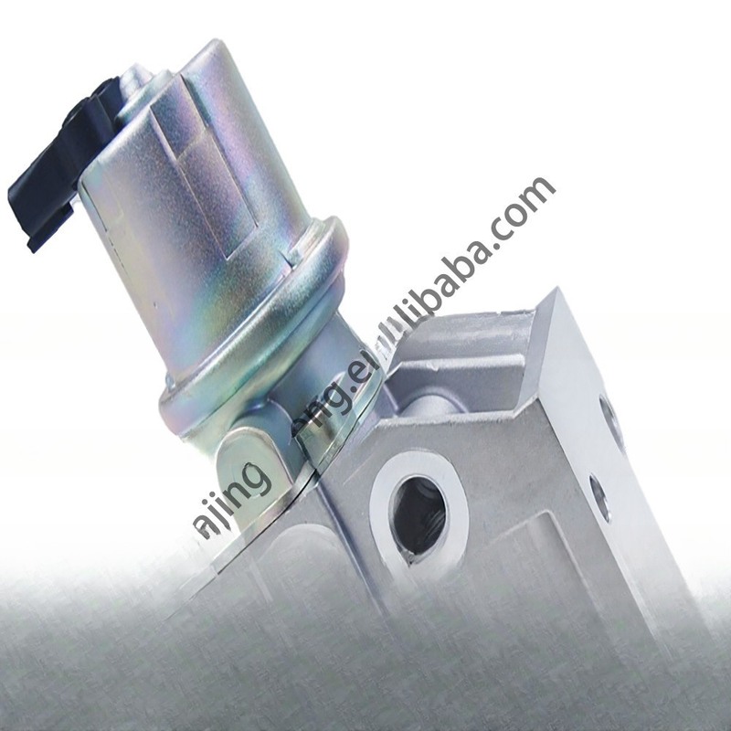 Duurzame geschikte 12V elektronische brandstofpomp voor Cummins QSC8.3/ISC/QSB5 4935005 P76921